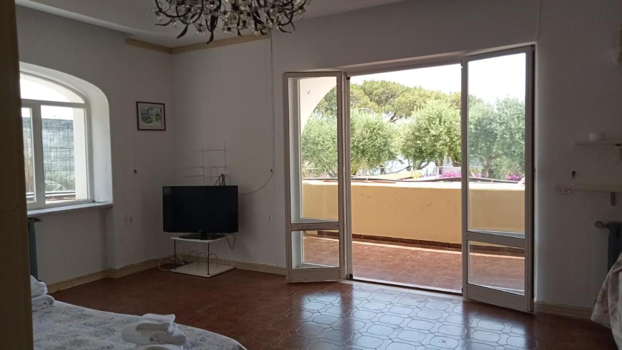 Parco Termale Tropical Bed & Breakfast Ischia Island Exterior photo
